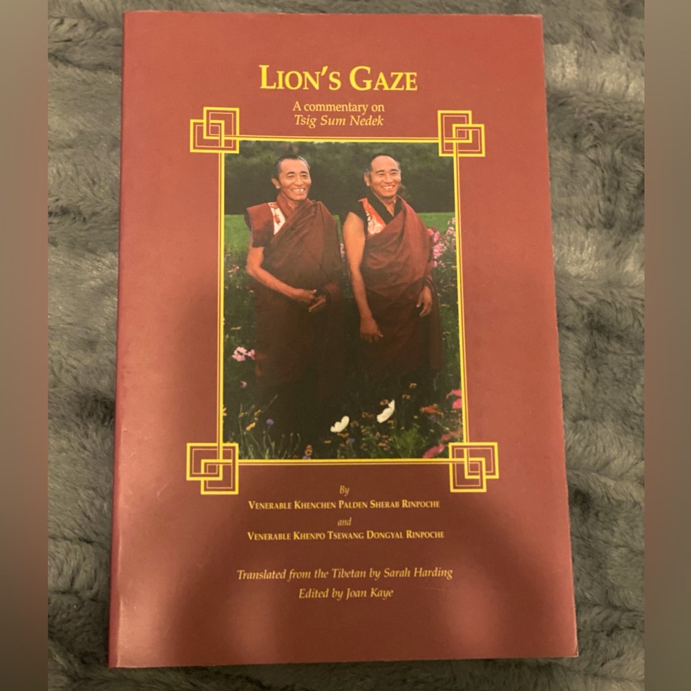 Lion’s Gaze Book - Picture 1 of 2